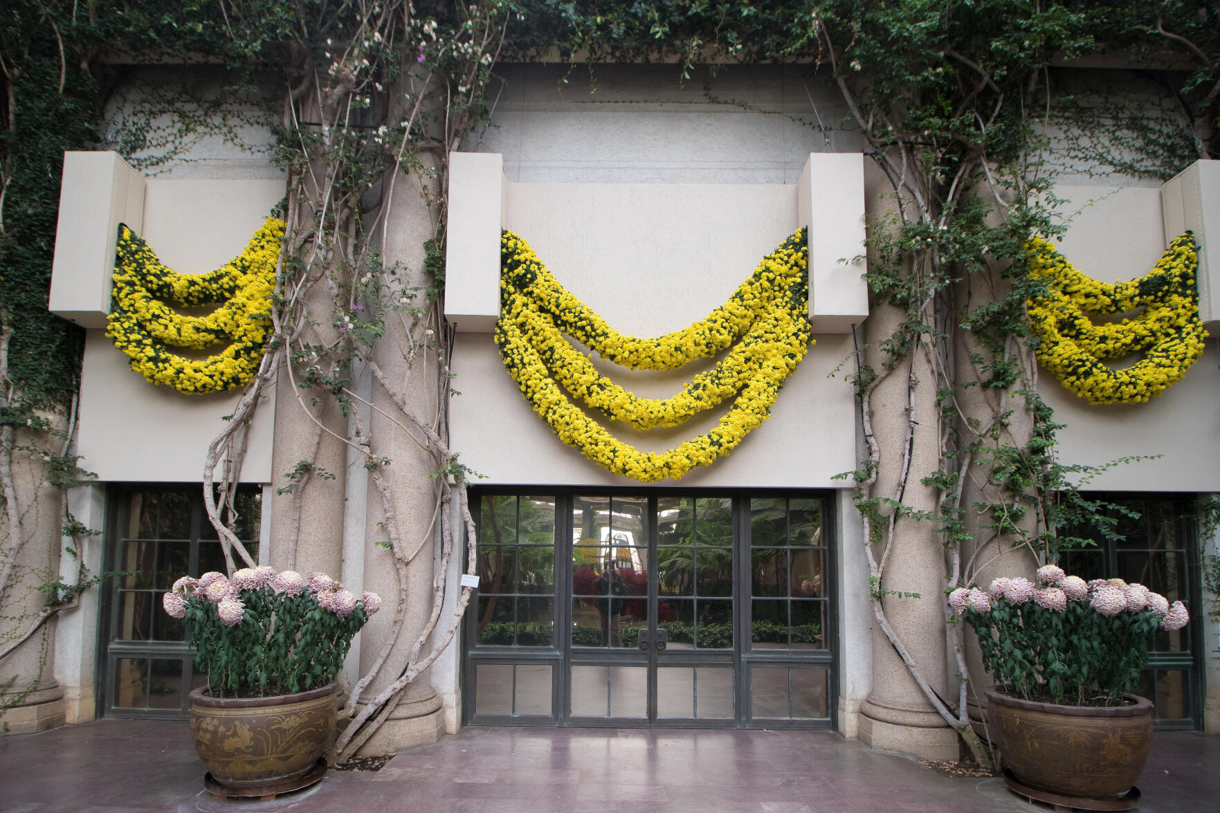 Longwood Gardens chrysanthemum festival